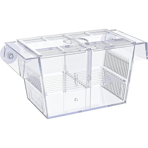 Fish isolation box acrylic - fish,