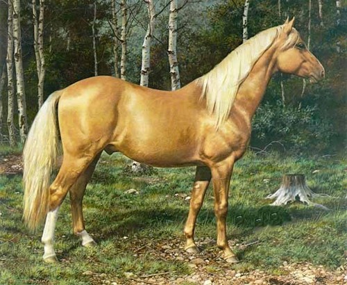 Carl brenders blond - carl,