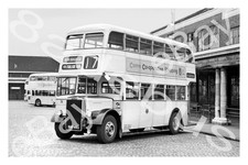 Bus Photograph WALLASEY C.T