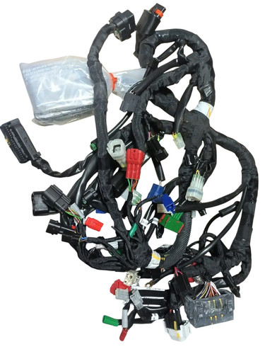 Main wiring harness - main,