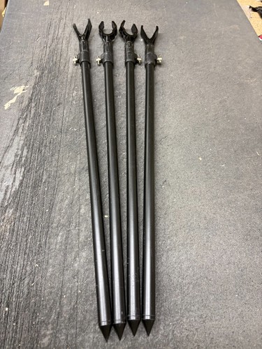 Carp fishing large - large, bank