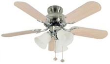 Fantasia Capri 36in Ceiling Fan & Light Stainless Steel Washed Oak Blades 110187
