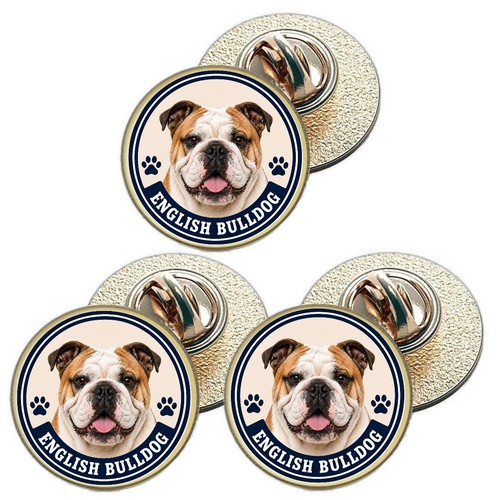 English bulldog dog - x,