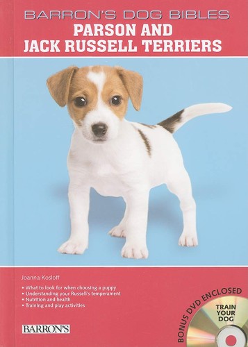 Parson and jack russell - jack,