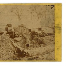 Stereoview of Pembina Trading