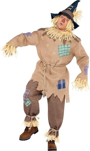 Scarecrow mens fancy dress - scarecrow,