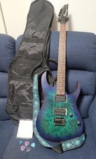 Ibanez RG421PB / Electric Guitar w/ Case