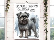 Brussels Griffon 2026-Dog