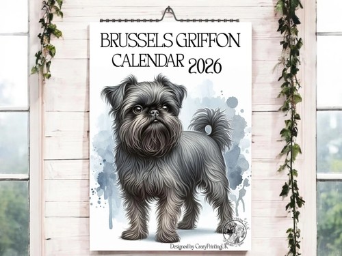 Brussels griffon 2026 dog - griffon, 2026-dog