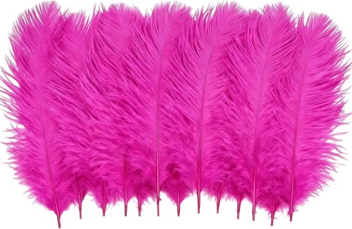 50pcs natural ostrich feathers - natural,
