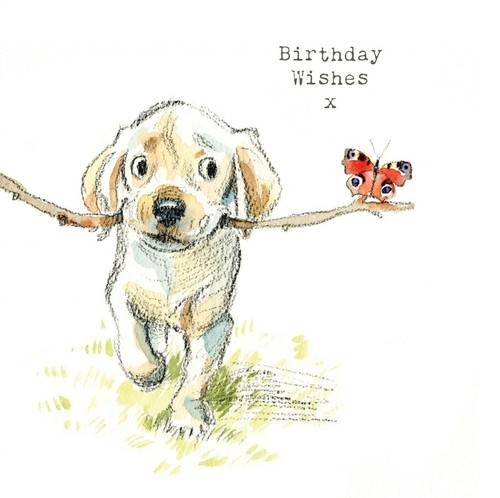Dog birthday card quality - -,