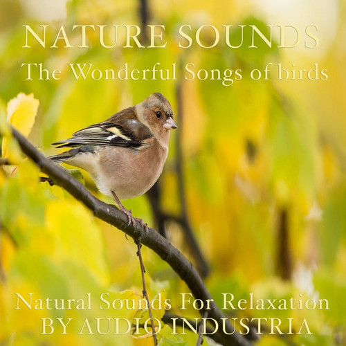 Natures sounds bird - sounds, cd