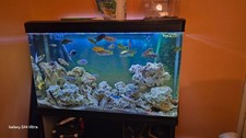 Fish Tank Aquariumand Fx6 Fiilter