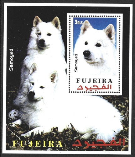 Fujeira samoyed dog - dog,, mnh