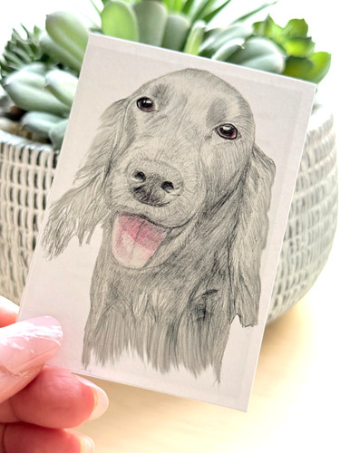 Aceo print molly red - aceo, |