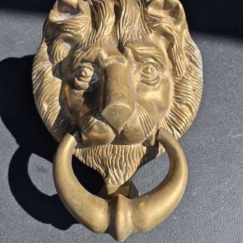 Vintage brass lion - vintage, head