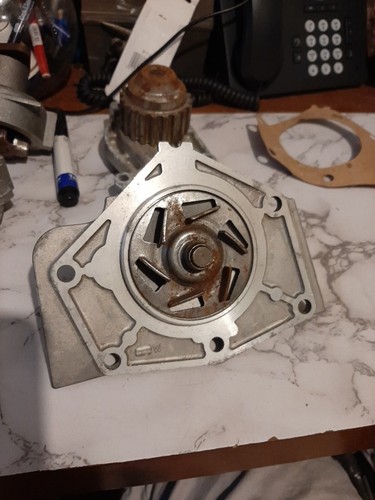 Montego maestro water pump - maestro,