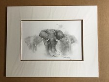 David Shepherd Limited Edition