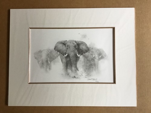 David shepherd limited edition - shepherd,