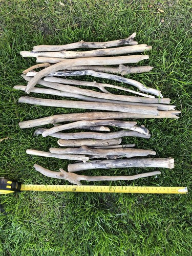 Driftwood nearly straight - driftwood,