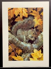 Carl Brenders Limited Edition