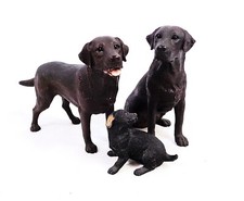 Set Of 3 Border Fine Arts? Labrador Dog Figurines