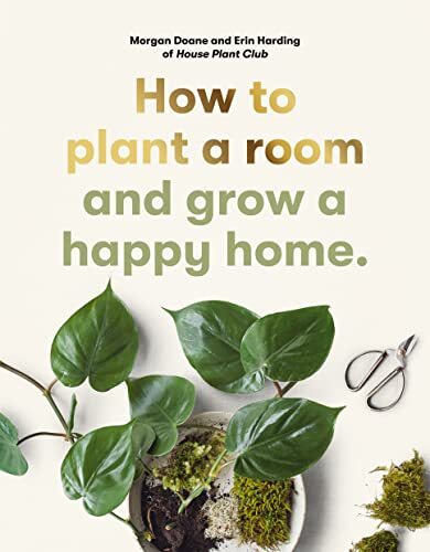 How plant room and grow - how,