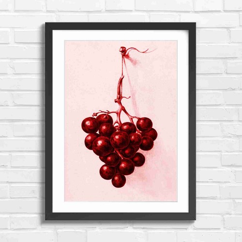 Vintage purple grapes - vintage,