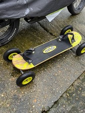 Scrub Mountain Board Lion