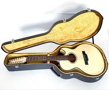 Washburn WoodStock-12