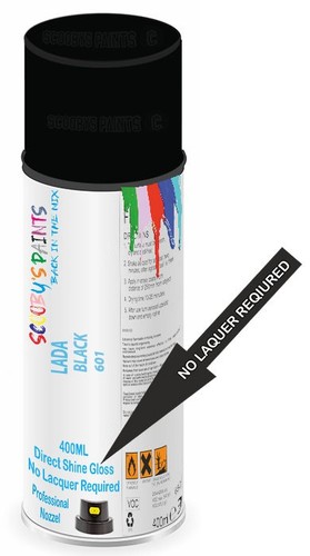 Direct shine paint - shine, spray