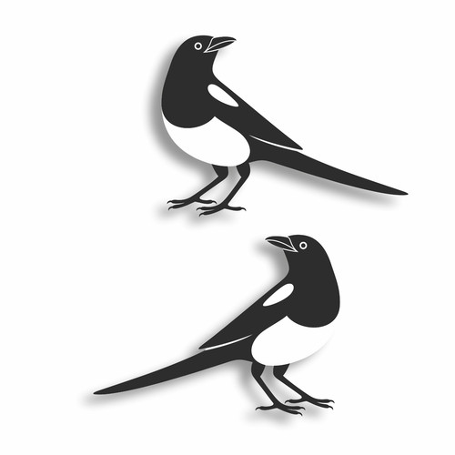Magpie birds vinyl - birds,