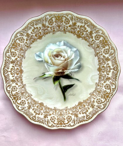 Lady diana rose everlasting - rose,