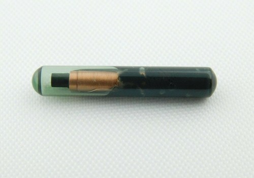 Glass transponder - x,