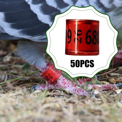 50pcs pigeon leg rings - 50pcs,