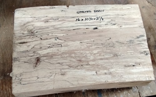 Spalted beech bowl blank - spalted, wood