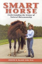 Smart Horse: Training Your