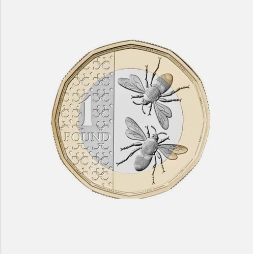 Pound king charles - ×,