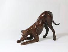  Greyhound Lurcher Playing