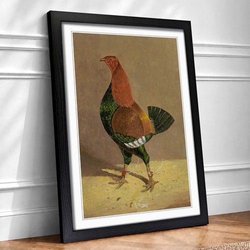 Fighting cock vol john - cock, vol.1