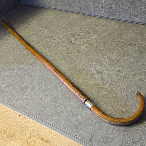 Antique edwardian malacca cane - edwardian,