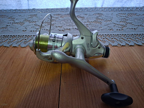 Dragon carp 250 - carp,