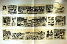 Original Old Antique Print
