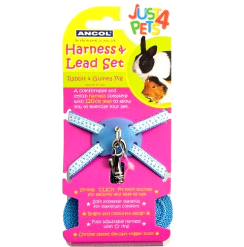 Ancol blue harness lead - harness, set