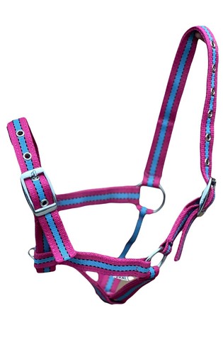 Equipride foal headcollar - equipride,