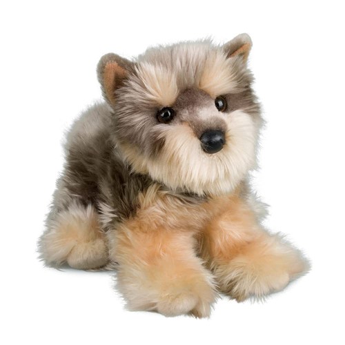 Douglas yettie yorkie - douglas,