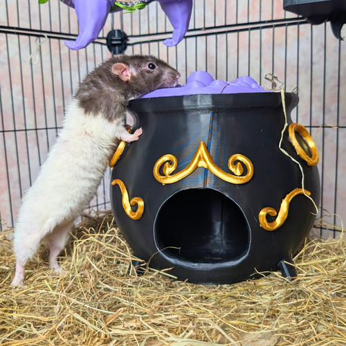 Gothic rat cage - gothic,