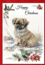 Tibetan Spaniel Dog A6 (4" x