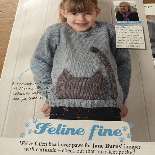 Feline cat motif - motif, jumper