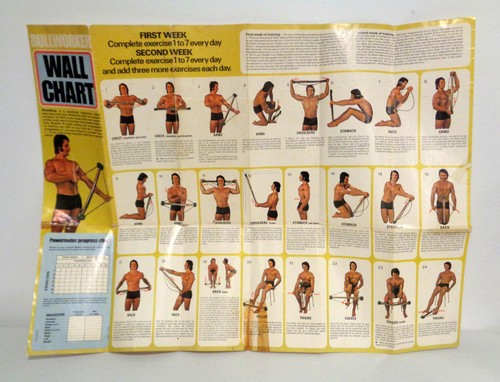 Vintage bullworker wall chart - vintage,